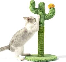 Cactus Rascador